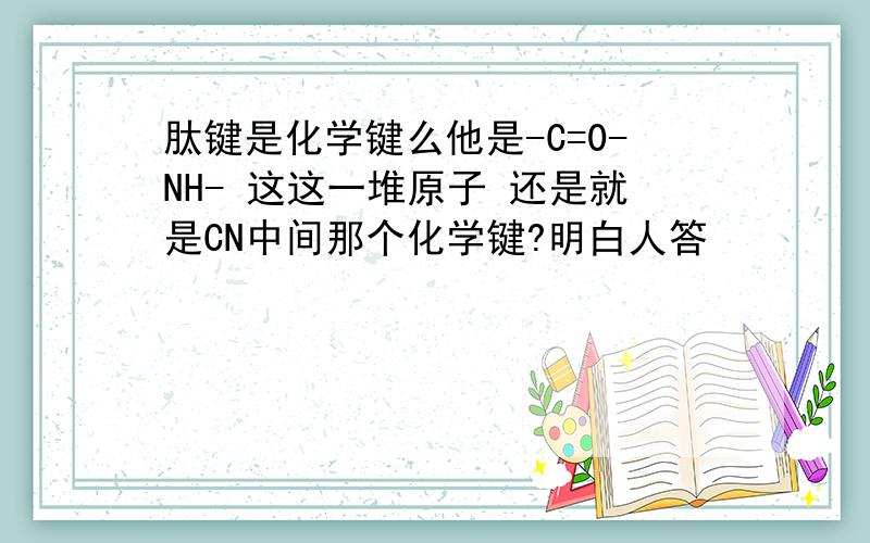 肽键是化学键么他是-C=0-NH- 这这一堆原子 还是就是CN中间那个化学键?明白人答