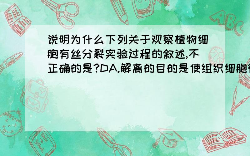 说明为什么下列关于观察植物细胞有丝分裂实验过程的叙述,不正确的是?DA.解离的目的是使组织细胞彼此分开B.漂洗的目的是为了洗去根尖上的盐酸,防止解离过度C.压片可将组织细胞互相分散