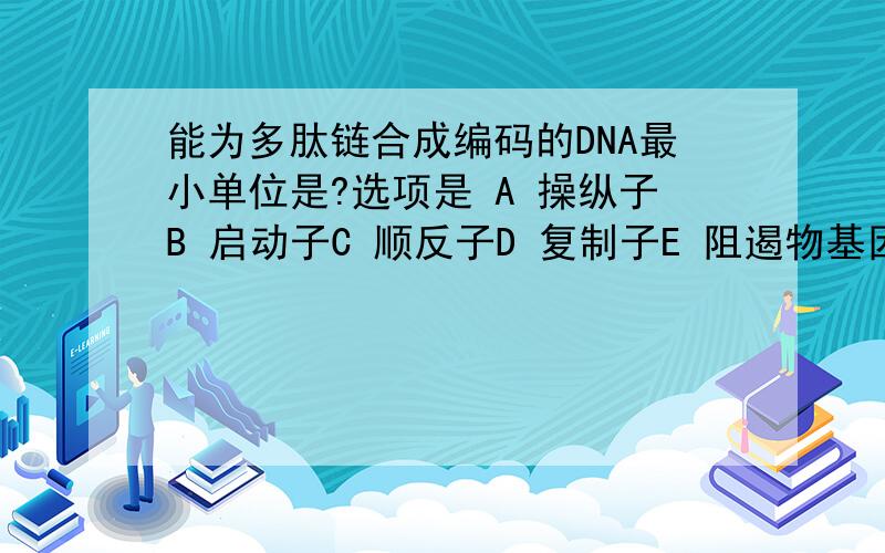 能为多肽链合成编码的DNA最小单位是?选项是 A 操纵子B 启动子C 顺反子D 复制子E 阻遏物基因