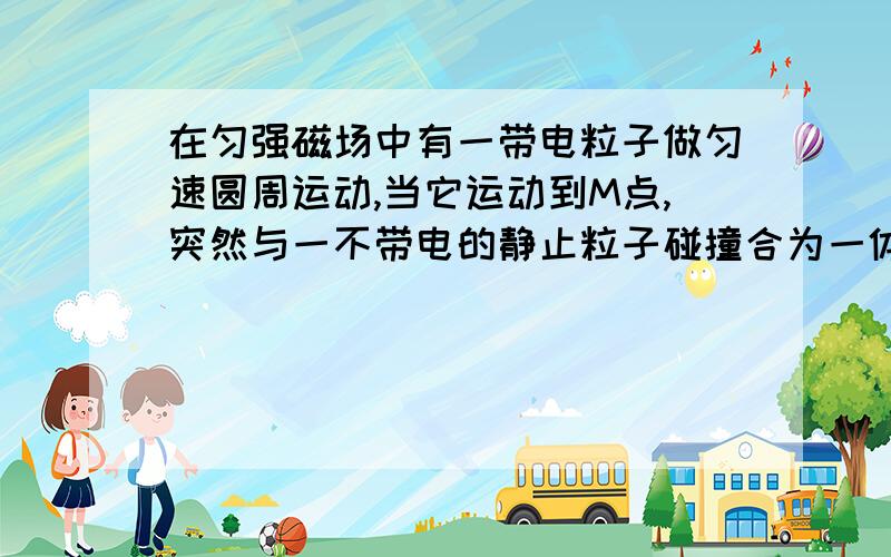 在匀强磁场中有一带电粒子做匀速圆周运动,当它运动到M点,突然与一不带电的静止粒子碰撞合为一体,碰撞后的运动轨迹应是图中的哪一个（实线为原轨迹,虚线为碰后轨迹,且不计粒子的重力