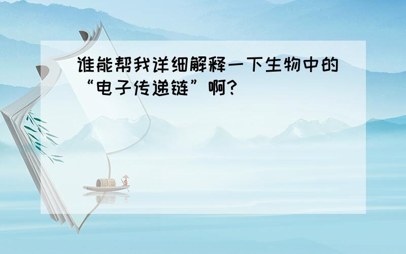 谁能帮我详细解释一下生物中的“电子传递链”啊?