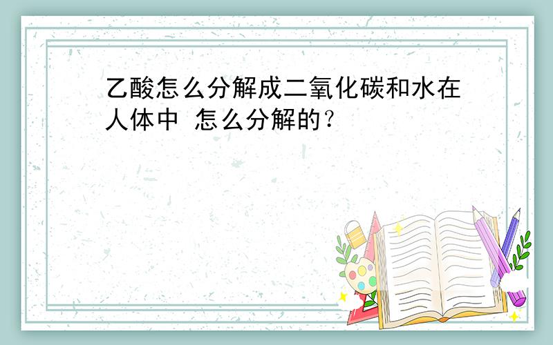 乙酸怎么分解成二氧化碳和水在人体中 怎么分解的？