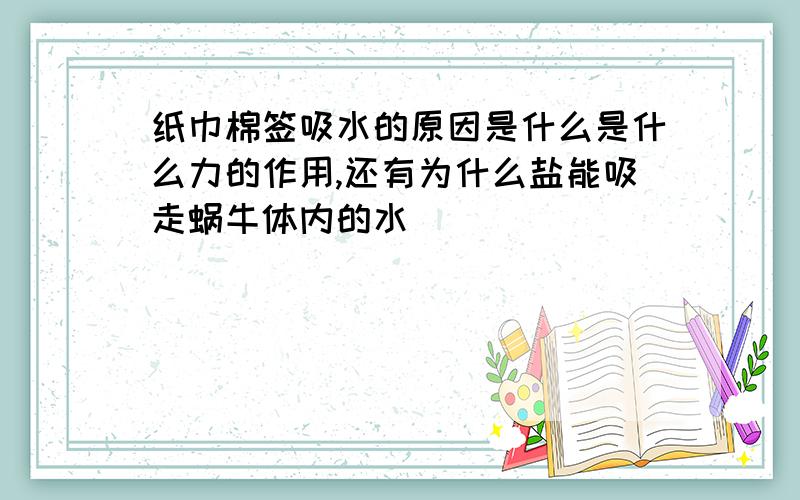 纸巾棉签吸水的原因是什么是什么力的作用,还有为什么盐能吸走蜗牛体内的水