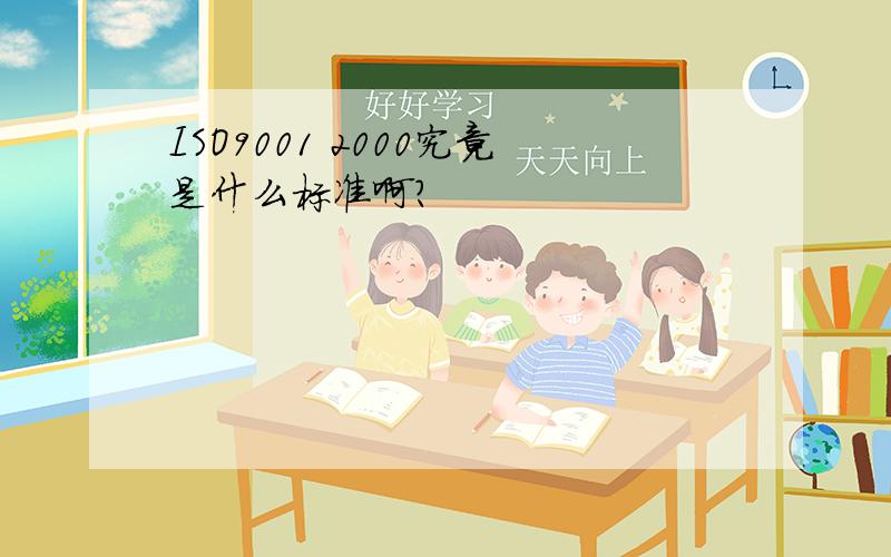 ISO9001 2000究竟是什么标准啊?