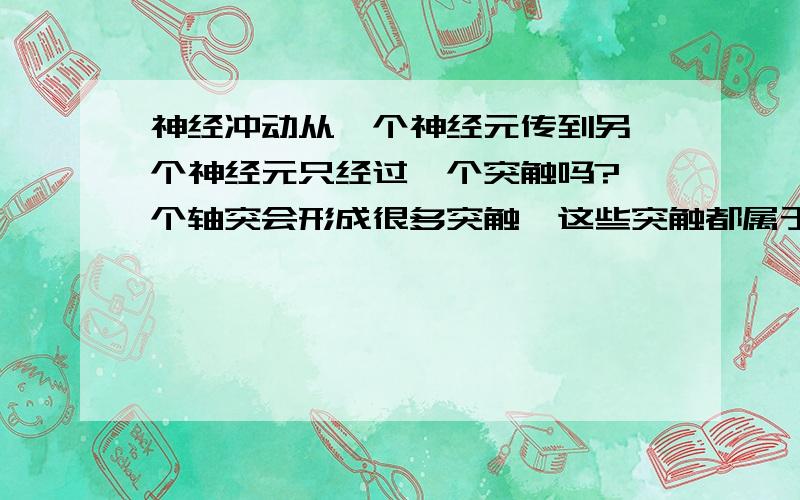 神经冲动从一个神经元传到另一个神经元只经过一个突触吗?一个轴突会形成很多突触,这些突触都属于形成突触的两个神经元吗?