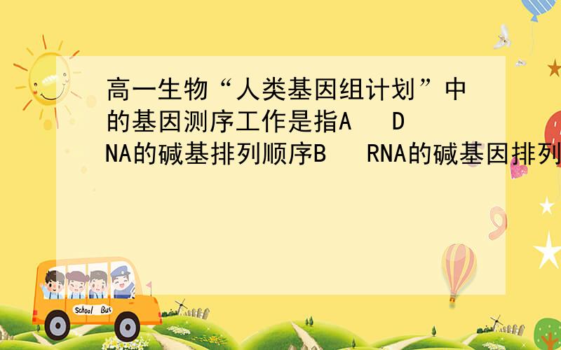 高一生物“人类基因组计划”中的基因测序工作是指A   DNA的碱基排列顺序B   RNA的碱基因排列顺序C   蛋白质的氨基酸排列顺序D   DNA的基因排列顺序详解谢谢