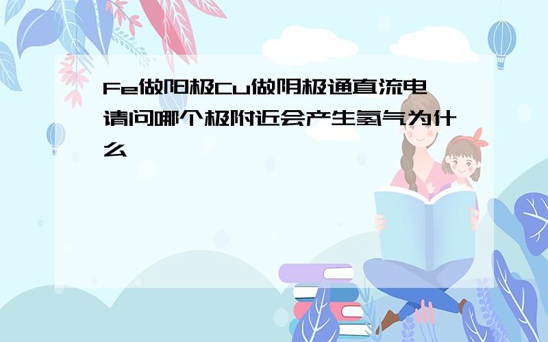 Fe做阳极Cu做阴极通直流电请问哪个极附近会产生氢气为什么