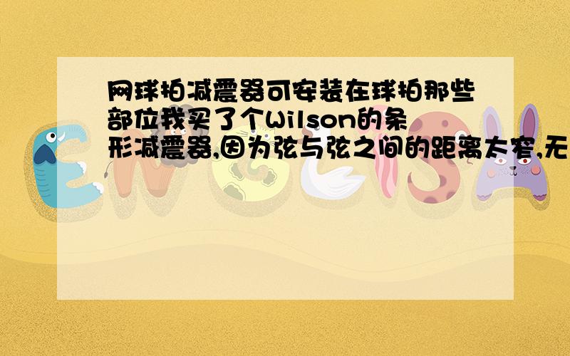 网球拍减震器可安装在球拍那些部位我买了个Wilson的条形减震器,因为弦与弦之间的距离太窄,无法安装,请问是否可以安在其他位置我是想问,可8可1安在两边的任意一边?