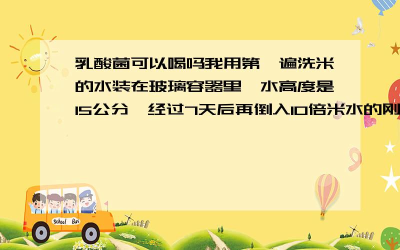 乳酸菌可以喝吗我用第一遍洗米的水装在玻璃容器里,水高度是15公分,经过7天后再倒入10倍米水的刚济出的牛奶里面发酵6天,后抽出中间的黄色液体,那些黄色液体可以喝吗?