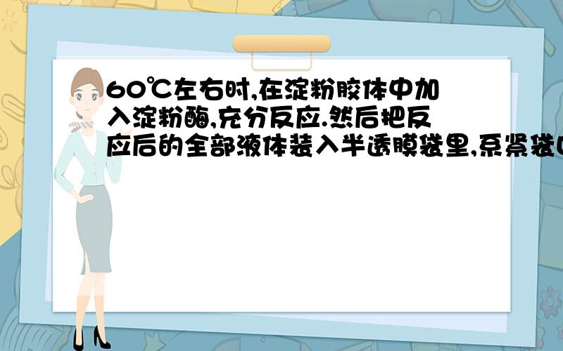 60℃左右时,在淀粉胶体中加入淀粉酶,充分反应.然后把反应后的全部液体装入半透膜袋里,系紧袋口,并把它悬挂在盛有蒸馏水的烧杯里.从半透膜袋里析出的物质是＿＿＿＿＿＿＿＿为什么是