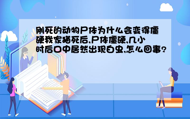 刚死的动物尸体为什么会变得僵硬我家猫死后,尸体僵硬,几小时后口中居然出现白虫,怎么回事?