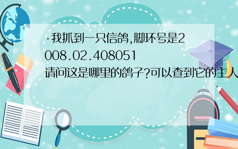 ·我抓到一只信鸽,脚环号是2008.02.408051 请问这是哪里的鸽子?可以查到它的主人吗环号是2008-02-408051 翅膀上有两条红道道 有1个章 怎么查是谁的鸽子呀,我想快点把他还给主任,