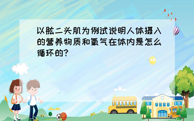 以肱二头肌为例试说明人体摄入的营养物质和氧气在体内是怎么循环的?