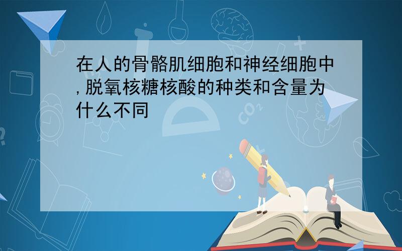 在人的骨骼肌细胞和神经细胞中,脱氧核糖核酸的种类和含量为什么不同