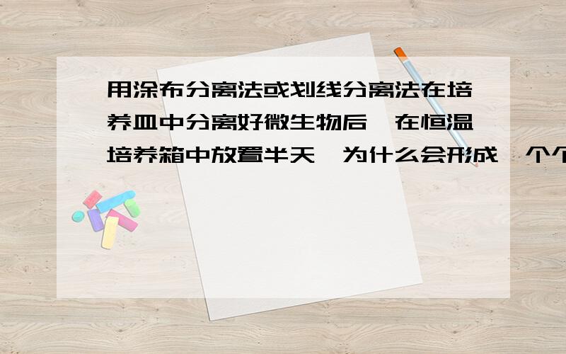 用涂布分离法或划线分离法在培养皿中分离好微生物后,在恒温培养箱中放置半天,为什么会形成一个个菌落或者在“分离以尿素氮源的微生物的实验中”那样形在尿素培养基中形成一个个小