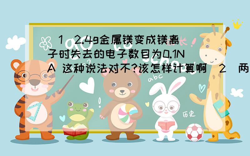 （1）2.4g金属镁变成镁离子时失去的电子数目为0.1NA 这种说法对不?该怎样计算啊（2）两个体积相同的容器,一个盛NO气体,另一个盛有N2和O2的混合气体,在同温、同压下两容器内的气体一定具有