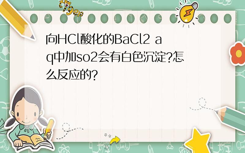 向HCl酸化的BaCl2 aq中加so2会有白色沉淀?怎么反应的?