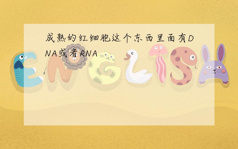 成熟的红细胞这个东西里面有DNA或者RNA