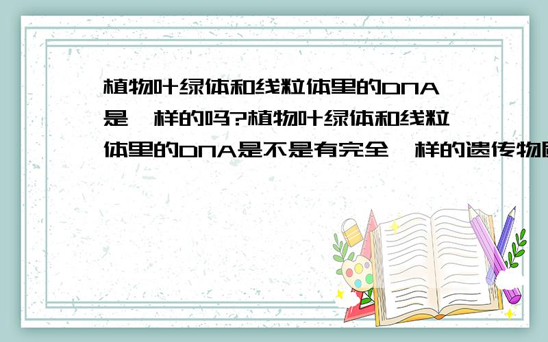 植物叶绿体和线粒体里的DNA是一样的吗?植物叶绿体和线粒体里的DNA是不是有完全一样的遗传物质?这些遗传物质管什么?是不是一个生物个体里所有的DNA都是一模一样的?