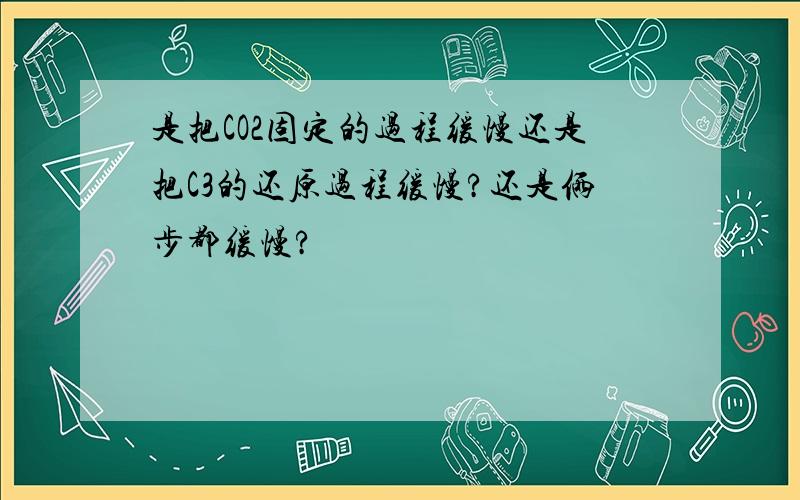 是把CO2固定的过程缓慢还是把C3的还原过程缓慢?还是俩步都缓慢?