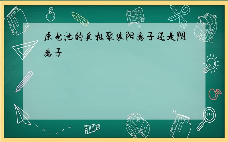 原电池的负极聚集阳离子还是阴离子