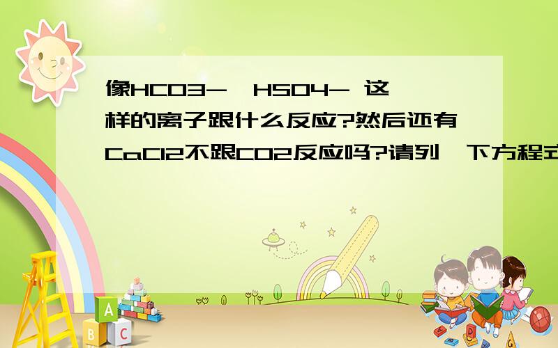 像HCO3-,HSO4- 这样的离子跟什么反应?然后还有CaCl2不跟CO2反应吗?请列一下方程式CaCl2+CO2 那不就生成HCl了吗？