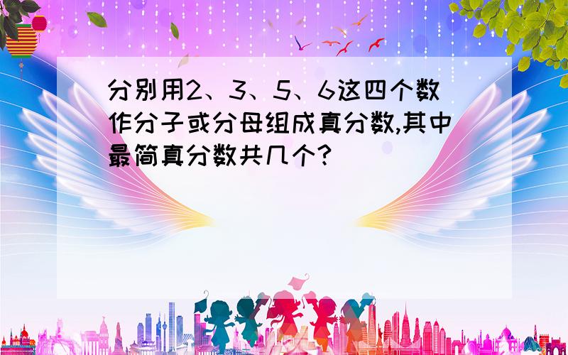 分别用2、3、5、6这四个数作分子或分母组成真分数,其中最简真分数共几个?