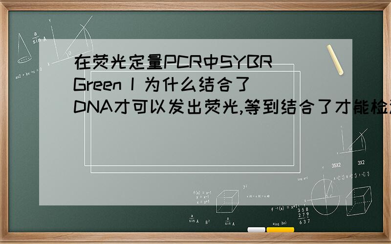 在荧光定量PCR中SYBR Green I 为什么结合了DNA才可以发出荧光,等到结合了才能检测到荧光值