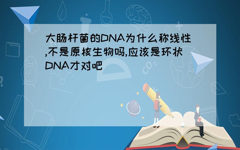 大肠杆菌的DNA为什么称线性,不是原核生物吗,应该是环状DNA才对吧