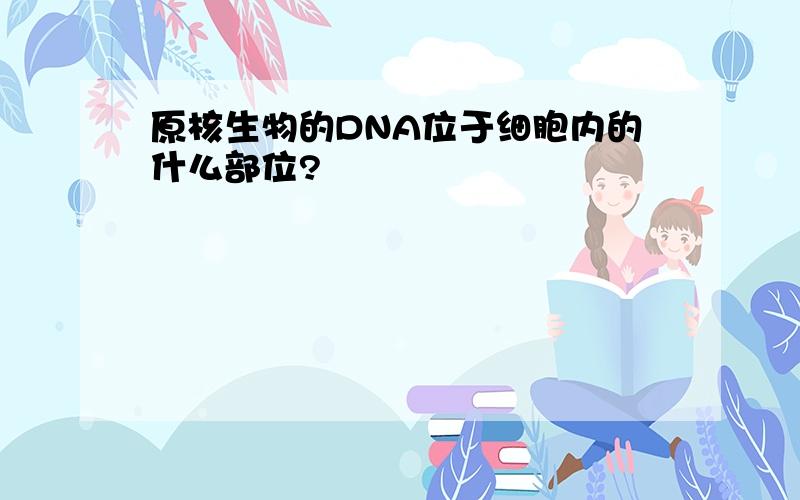 原核生物的DNA位于细胞内的什么部位?