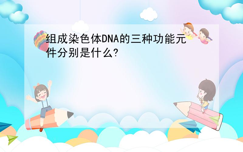 组成染色体DNA的三种功能元件分别是什么?