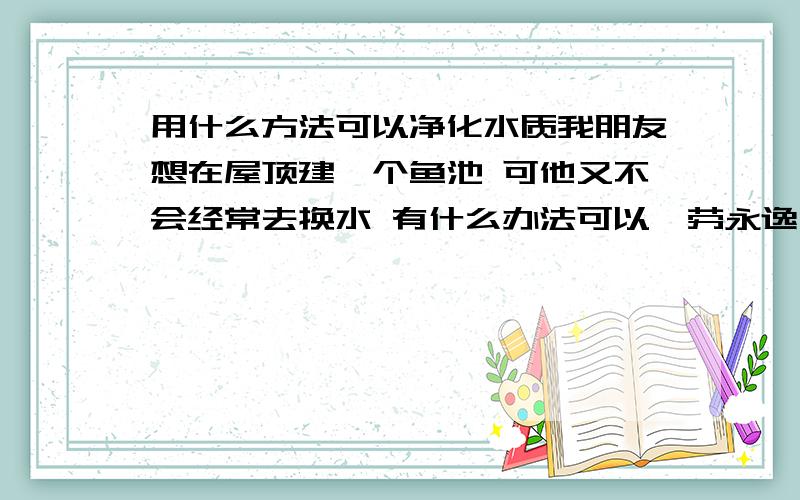 用什么方法可以净化水质我朋友想在屋顶建一个鱼池 可他又不会经常去换水 有什么办法可以一劳永逸 让水质一直很好