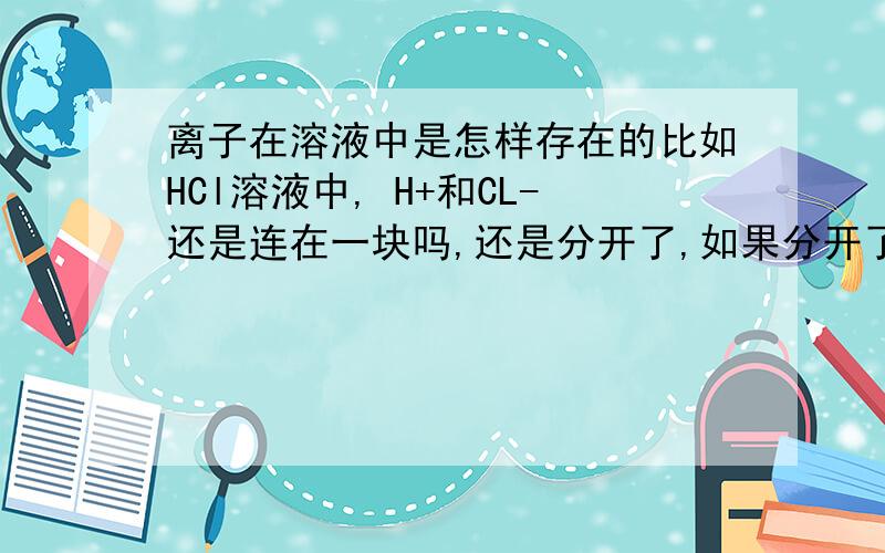 离子在溶液中是怎样存在的比如HCl溶液中, H+和CL-还是连在一块吗,还是分开了,如果分开了,会不会有的地方多一点,有的地方少一点呢?