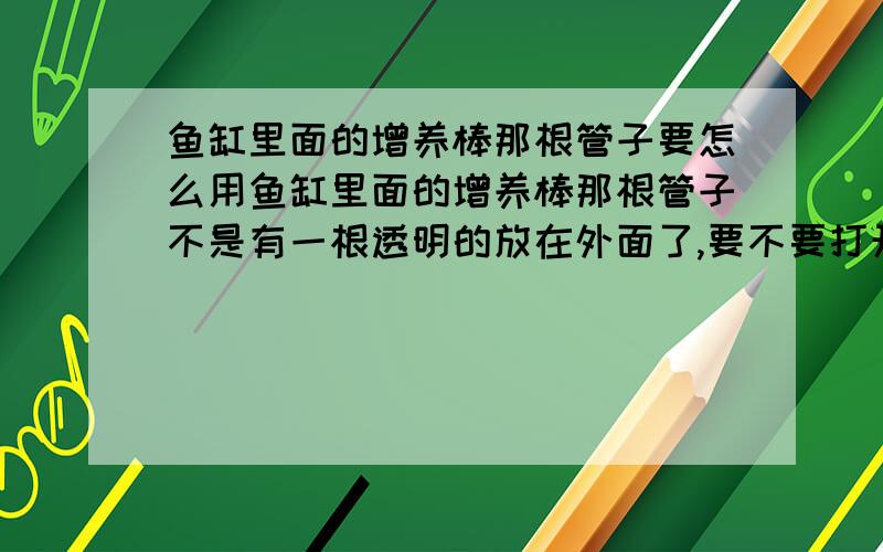 鱼缸里面的增养棒那根管子要怎么用鱼缸里面的增养棒那根管子不是有一根透明的放在外面了,要不要打开?让他进空气?