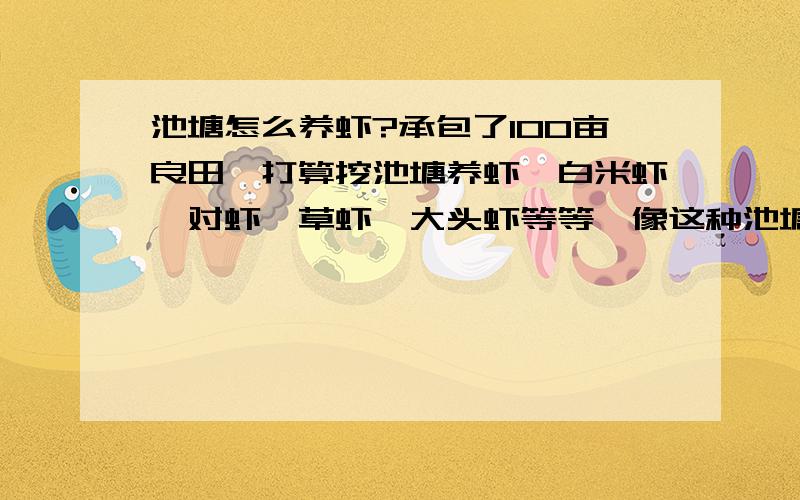 池塘怎么养虾?承包了100亩良田,打算挖池塘养虾,白米虾,对虾,草虾,大头虾等等,像这种池塘怎么样养?