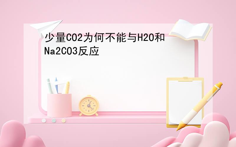 少量CO2为何不能与H2O和Na2CO3反应