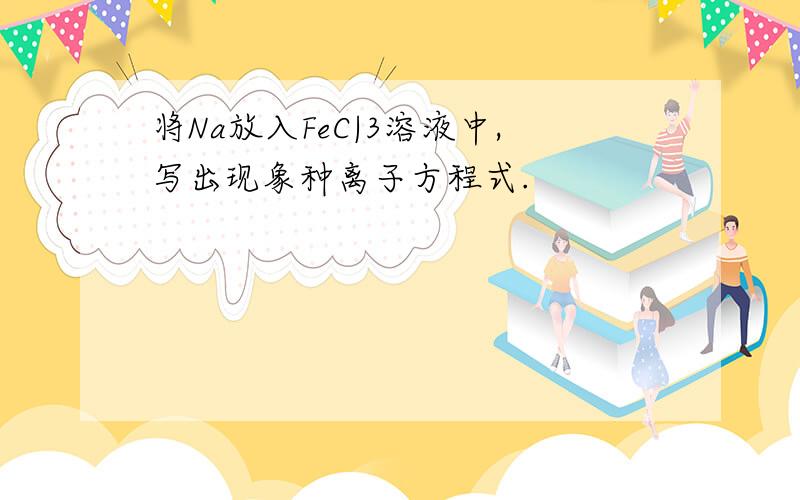 将Na放入FeC|3溶液中,写出现象种离子方程式.