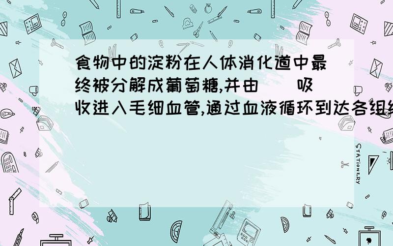 食物中的淀粉在人体消化道中最终被分解成葡萄糖,并由__吸收进入毛细血管,通过血液循环到达各组织细胞,在各种细胞内发生的代谢途径(1)__生成CO2和水,并释放能量;(2)合成__和__作为储能多糖