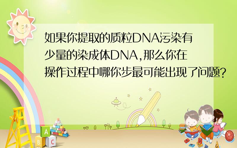 如果你提取的质粒DNA污染有少量的染成体DNA,那么你在操作过程中哪你步最可能出现了问题?