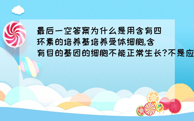 最后一空答案为什么是用含有四环素的培养基培养受体细胞,含有目的基因的细胞不能正常生长?不是应该可以正常生长才成功了吗?