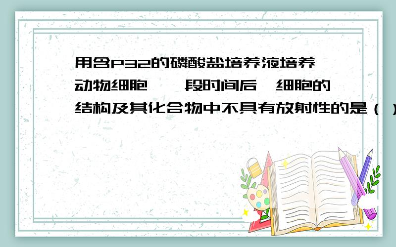 用含P32的磷酸盐培养液培养动物细胞,一段时间后,细胞的结构及其化合物中不具有放射性的是（）A 脱氧核糖 B 核膜 C ATP D tRNA尤其是A求详解