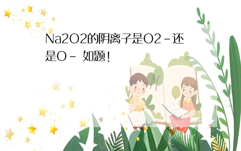 Na2O2的阴离子是O2-还是O- 如题!