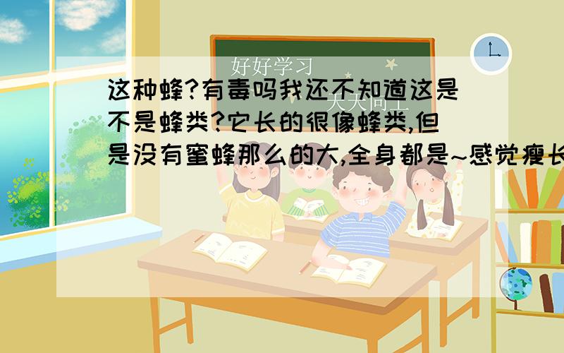 这种蜂?有毒吗我还不知道这是不是蜂类?它长的很像蜂类,但是没有蜜蜂那么的大,全身都是~感觉瘦长瘦长的,而且全身都是黑色的