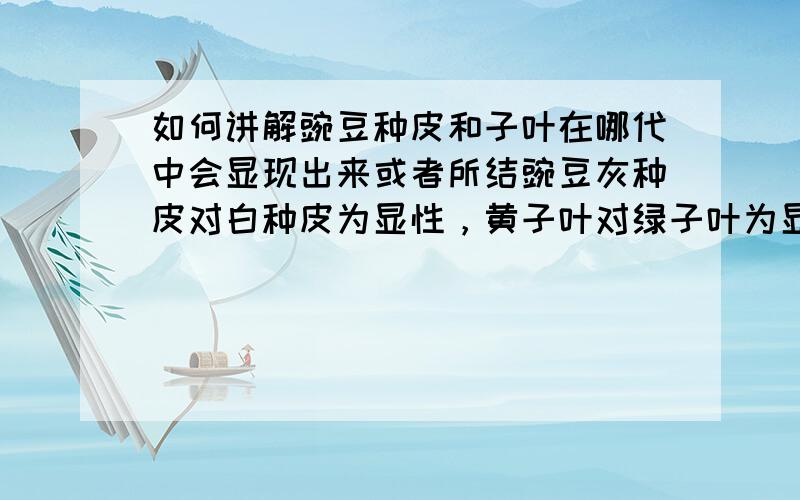 如何讲解豌豆种皮和子叶在哪代中会显现出来或者所结豌豆灰种皮对白种皮为显性，黄子叶对绿子叶为显性。每对性状的杂合子F1自交，后代F2均表现3：1的性状分离比。以上种皮颜色的分离