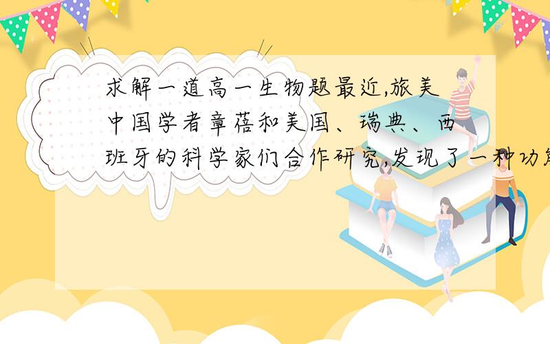 求解一道高一生物题最近,旅美中国学者章蓓和美国、瑞典、西班牙的科学家们合作研究,发现了一种功能类似于胰岛素的真菌化合物.这一发现为治疗糖尿病的研究“开启了一扇全新之门”,它