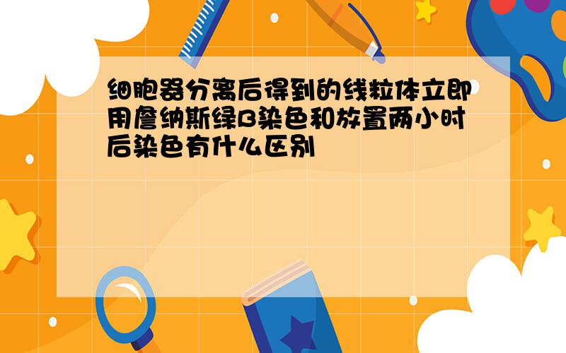 细胞器分离后得到的线粒体立即用詹纳斯绿B染色和放置两小时后染色有什么区别