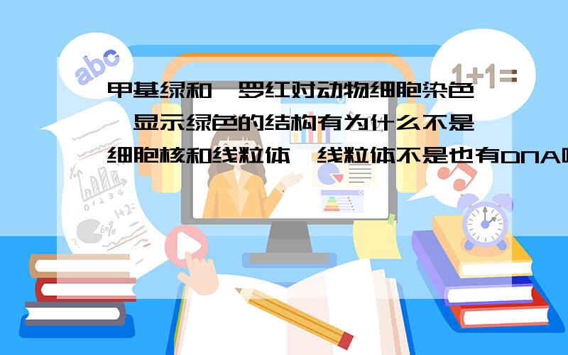 甲基绿和吡罗红对动物细胞染色,显示绿色的结构有为什么不是细胞核和线粒体,线粒体不是也有DNA吗?