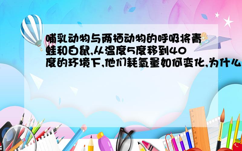 哺乳动物与两栖动物的呼吸将青蛙和白鼠,从温度5度移到40度的环境下,他们耗氧量如何变化,为什么