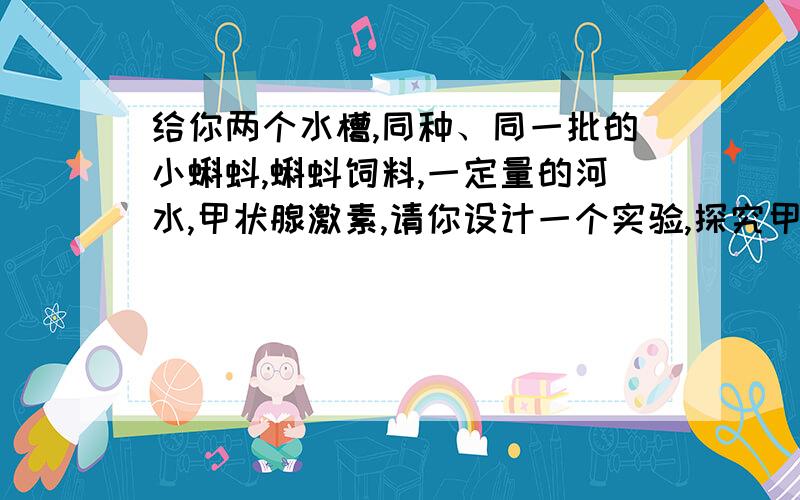 给你两个水槽,同种、同一批的小蝌蚪,蝌蚪饲料,一定量的河水,甲状腺激素,请你设计一个实验,探究甲状腺激素能促进蝌蚪的发育.（1）提出问题：（2）作出假设：（3）设计并进行实验：（4