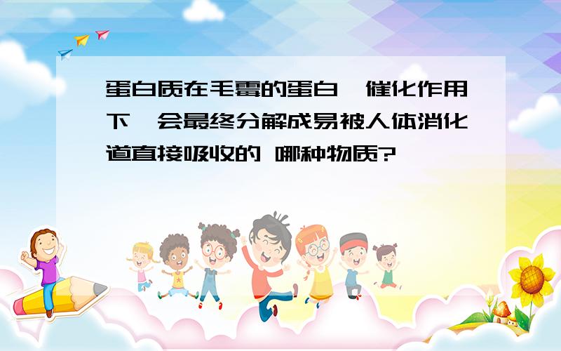 蛋白质在毛霉的蛋白酶催化作用下,会最终分解成易被人体消化道直接吸收的 哪种物质?